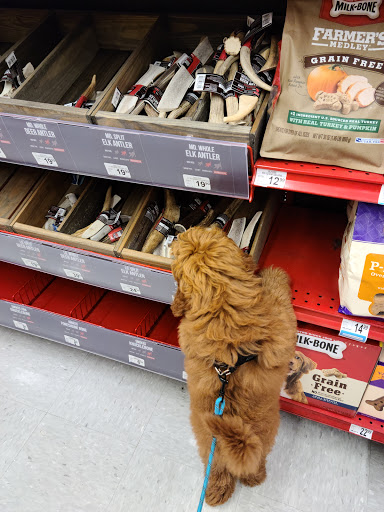 Pet Supply Store «Petco Animal Supplies», reviews and photos, 6512 Steubenville Pike, Pittsburgh, PA 15205, USA