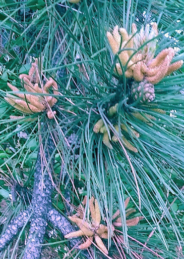 Park «Taylor Memorial Park», reviews and photos, 4201 Lee Ave, Louisville, KY 40213, USA