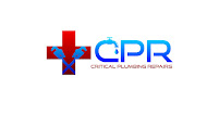 Critical Plumbing Repairs - Photo 8 - Car repair in , Oceanside