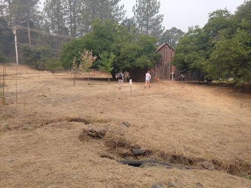 Coffee Shop «Mountain Sage», reviews and photos, 18653 Main St, Groveland, CA 95321, USA