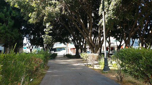 Alejandro Larios Park