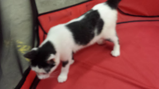 Pet Supply Store «Pet Supplies Plus», reviews and photos, 3984 Seneca St, West Seneca, NY 14224, USA