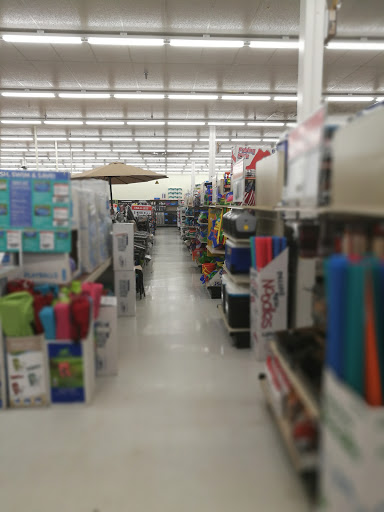 Discount Store «Big Lots», reviews and photos, 3830 S Nova Rd, Port Orange, FL 32127, USA