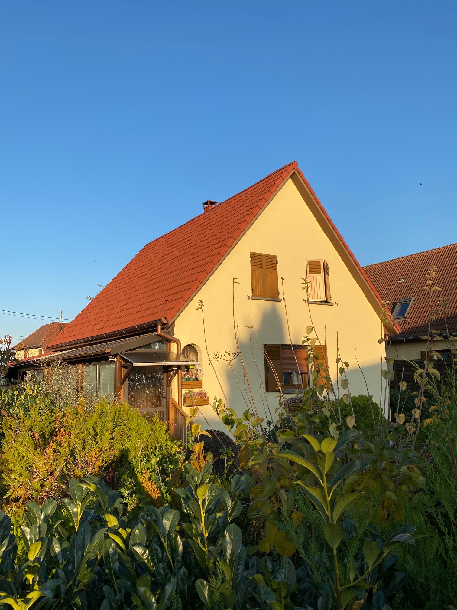 Photo n° 1 de l'avis de lefebvre.a fait le 06/11/2020 à 15:13