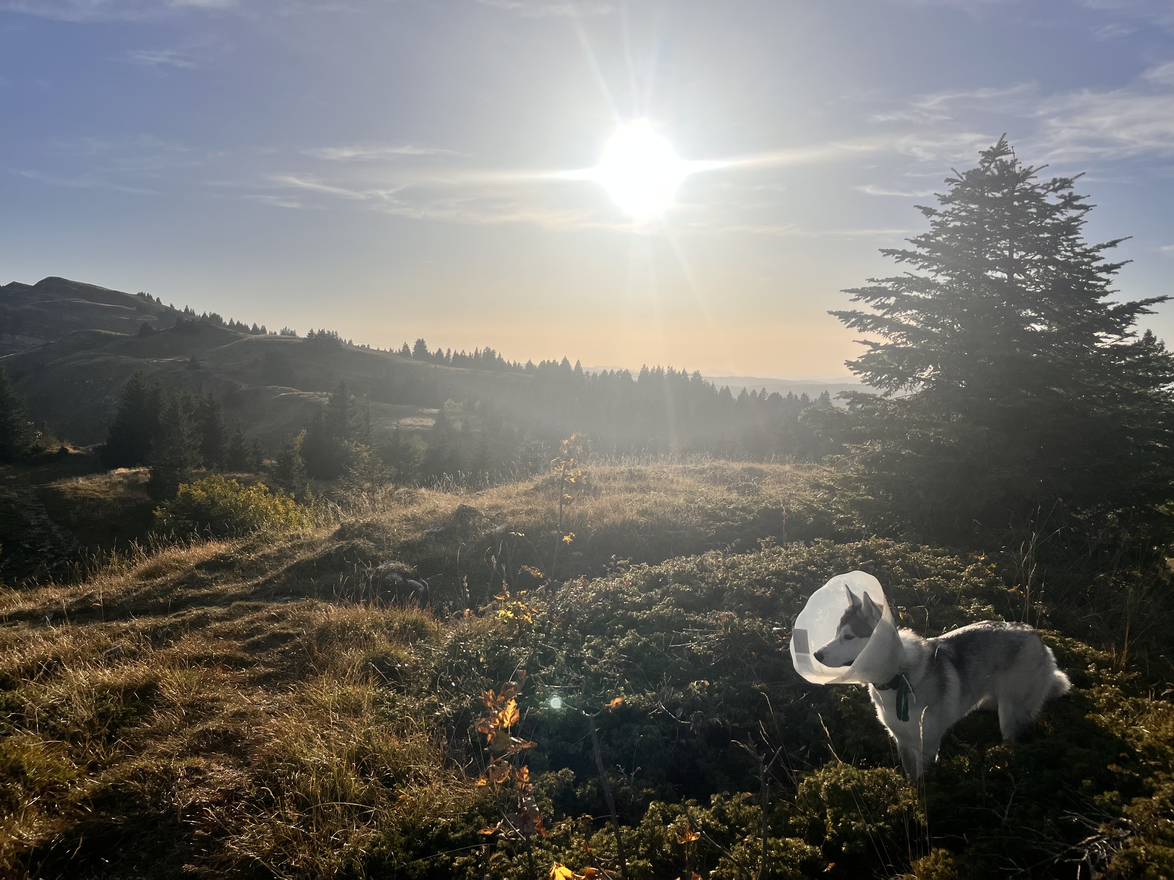 Photo n° 1 de l'avis de Ben.a fait le 14/10/2023 à 15:34