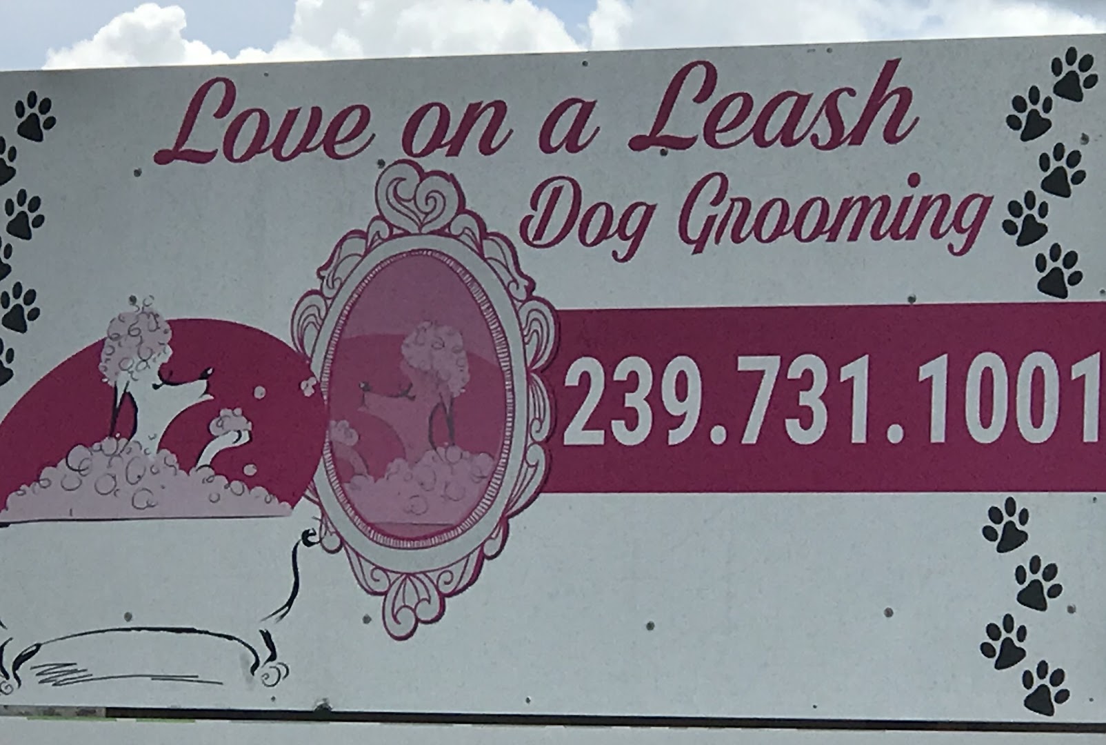 Love On A Leash Dog Grooming