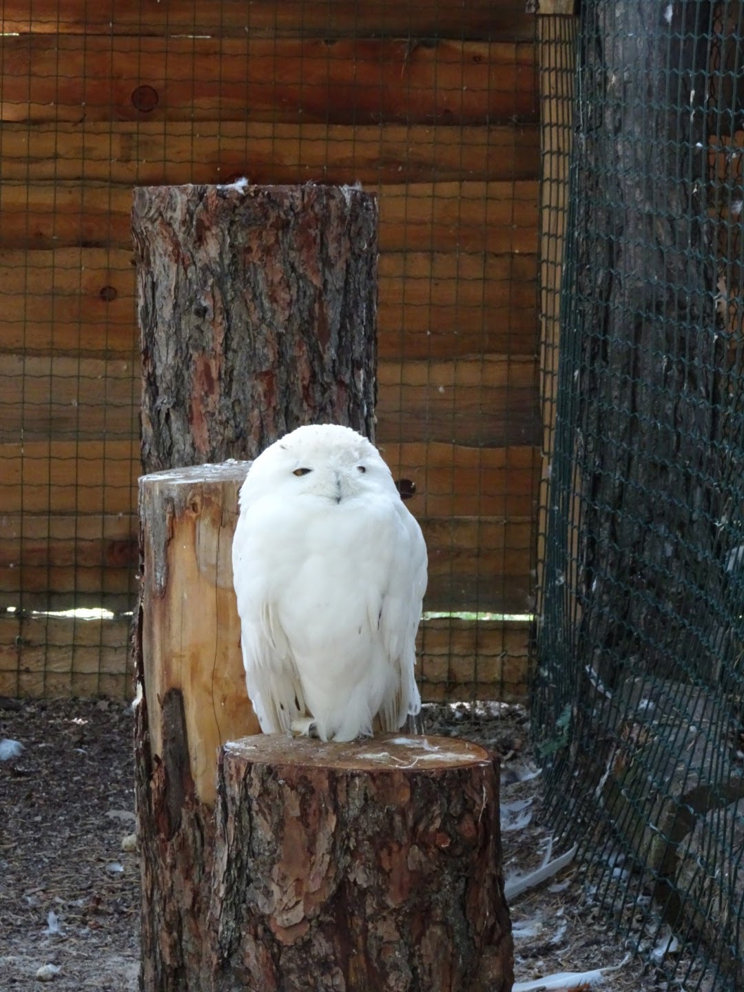 Photo n° 7 de l'avis de Romain.o fait le 17/08/2017 à 11:56