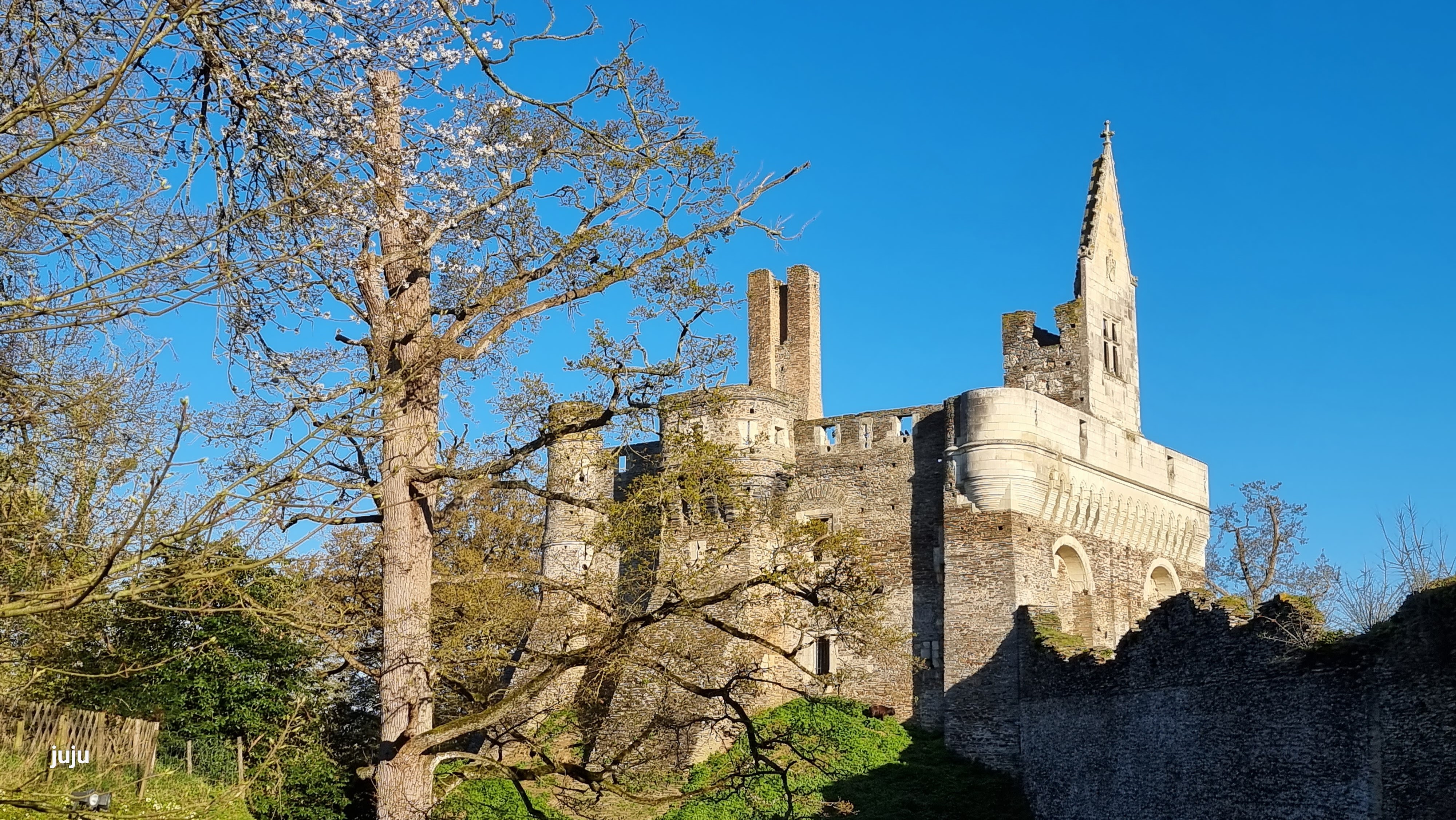 Photo n° 19 de l'avis de Juju.. fait le 28/04/2023 à 08:20