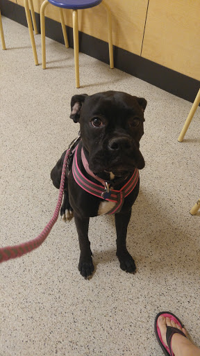 Pet Supply Store «PetSmart», reviews and photos, 849 E 23rd St, Panama City, FL 32405, USA