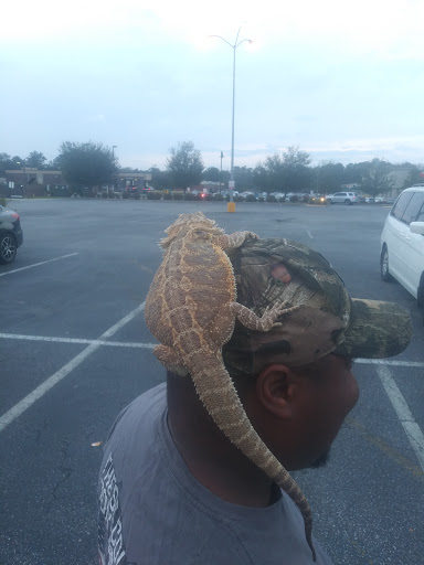 Pet Supply Store «Pet Supplies Plus», reviews and photos, 208 St James Ave, Goose Creek, SC 29445, USA