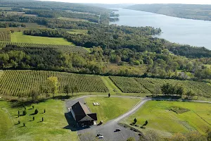 Keuka Spring Vineyards image