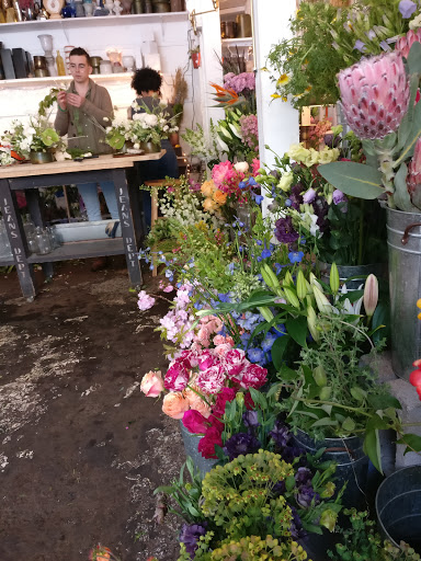 Florist «Ampersand», reviews and photos, 80 Albion St, San Francisco, CA 94103, USA