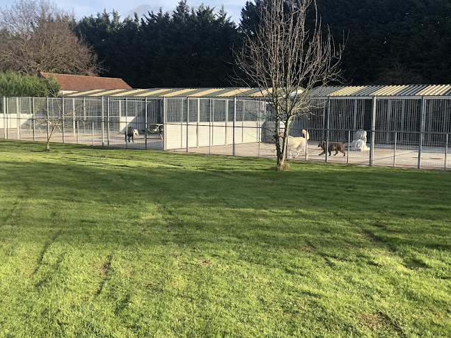 Pond View Kennels - Lincoln