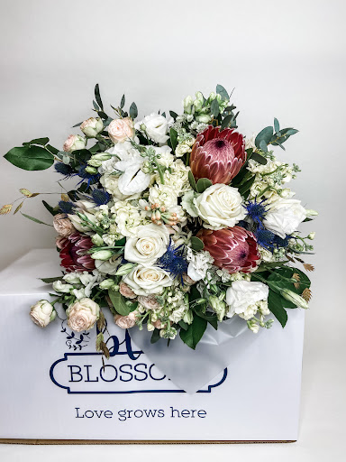 Blue Blossoms image