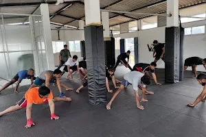 Vanquish Muay Thai & Fitness image