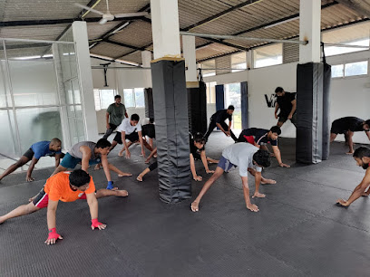 Vanquish Muay Thai & Fitness - 156/2/1 Madiwela Rd, Nugegoda, Sri Lanka