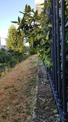 Desrue Immobilier à Paris