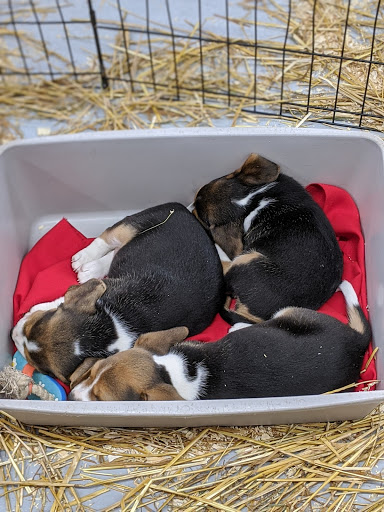 Pet Store «Teske Pet & Garden», reviews and photos, 2423 16th St, Moline, IL 61265, USA