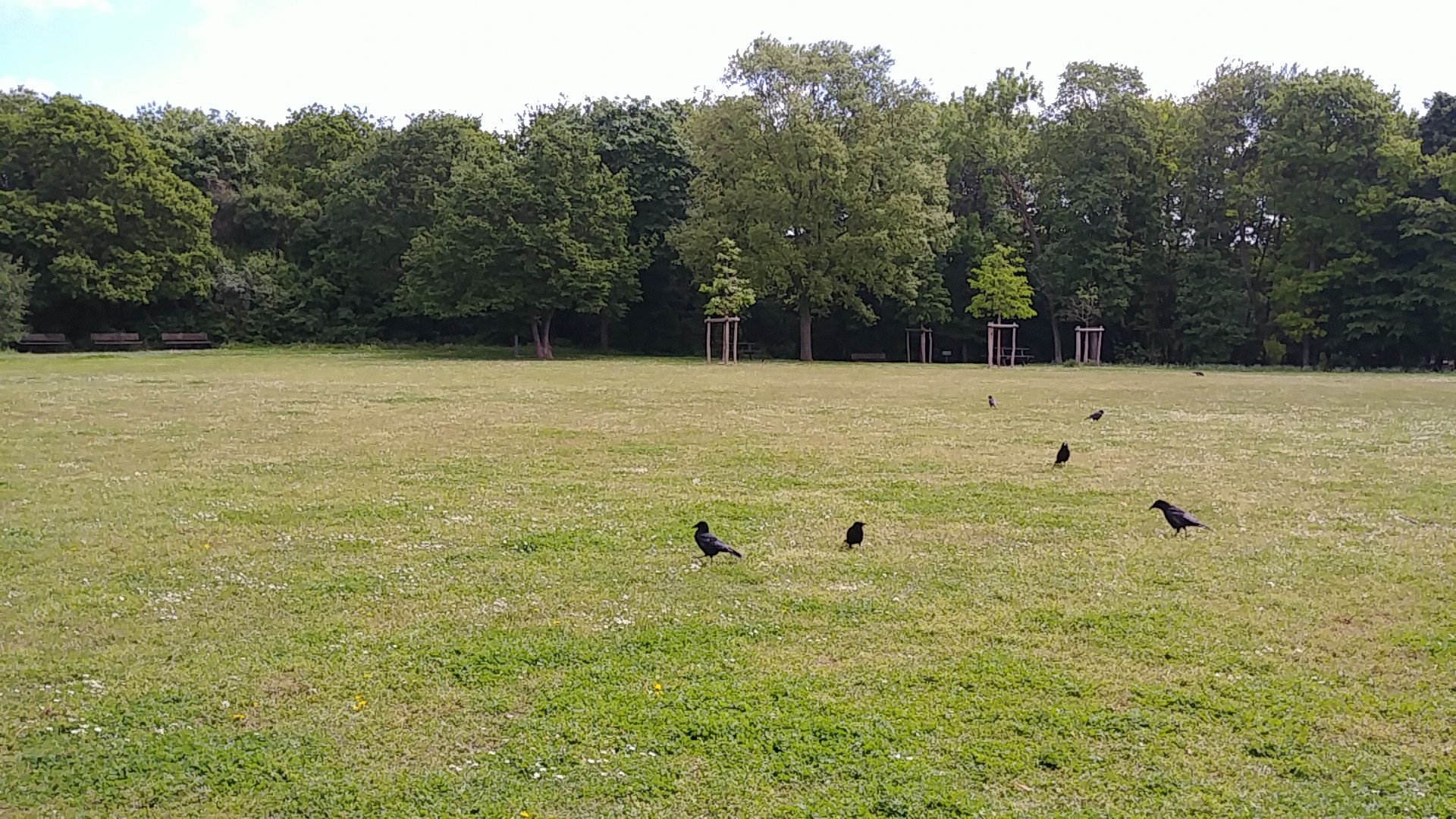 Photo n° 1 de l'avis de Maks.a fait le 05/05/2019 à 11:05
