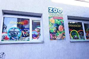 Iguana zoological Angling Shop image