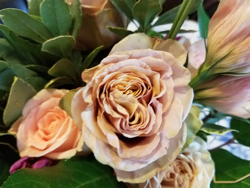 Flower Designer «Bramble and Bee», reviews and photos, 311 Commerce St, Tomball, TX 77375, USA