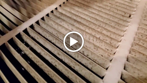 Cleaning Service «Any House Cleaning Services», reviews and photos, 559 Symphony Pl, Davenport, FL 33896, USA