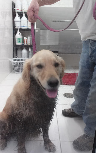 Pet Supply Store «Purely Pets», reviews and photos, 13723 23 Mile Rd, Shelby Charter Township, MI 48315, USA