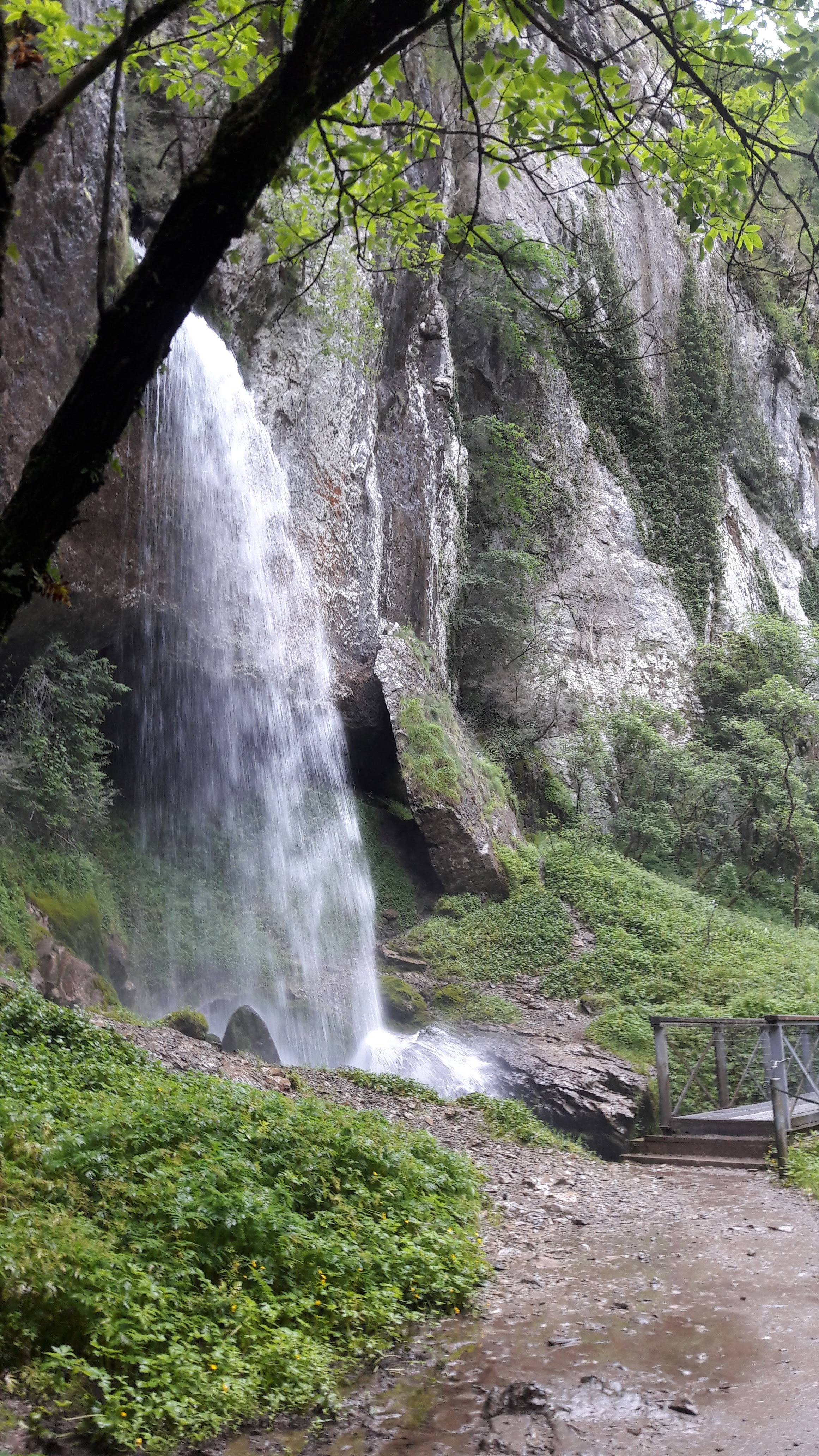 Photo n° 8 de l'avis de Marie.. fait le 09/07/2019 à 08:26