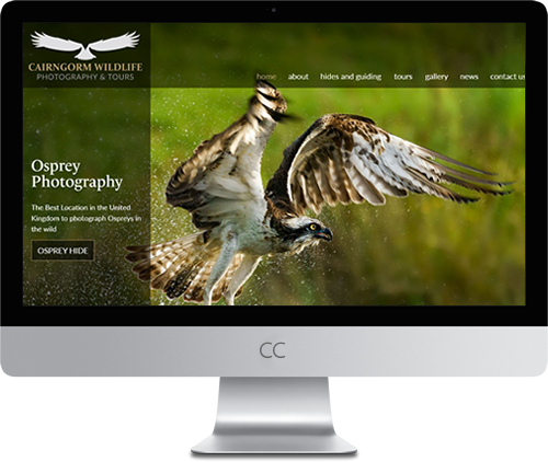 Comments and reviews of Coire Creative Website Design
