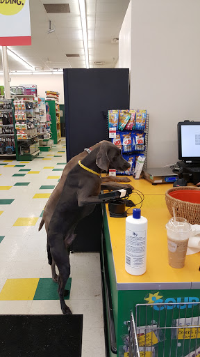 Pet Supply Store «Pet Supplies Plus», reviews and photos, 771 Gap Newport Pike, Avondale, PA 19311, USA