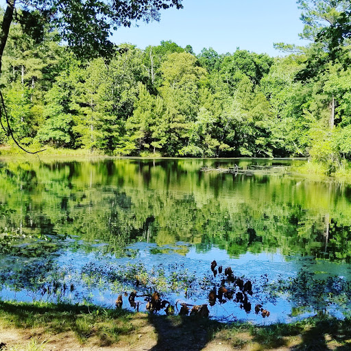 Cabin Rental Agency «Dixieland Cabins», reviews and photos, 1613 Donelson Pkwy, Dover, TN 37058, USA