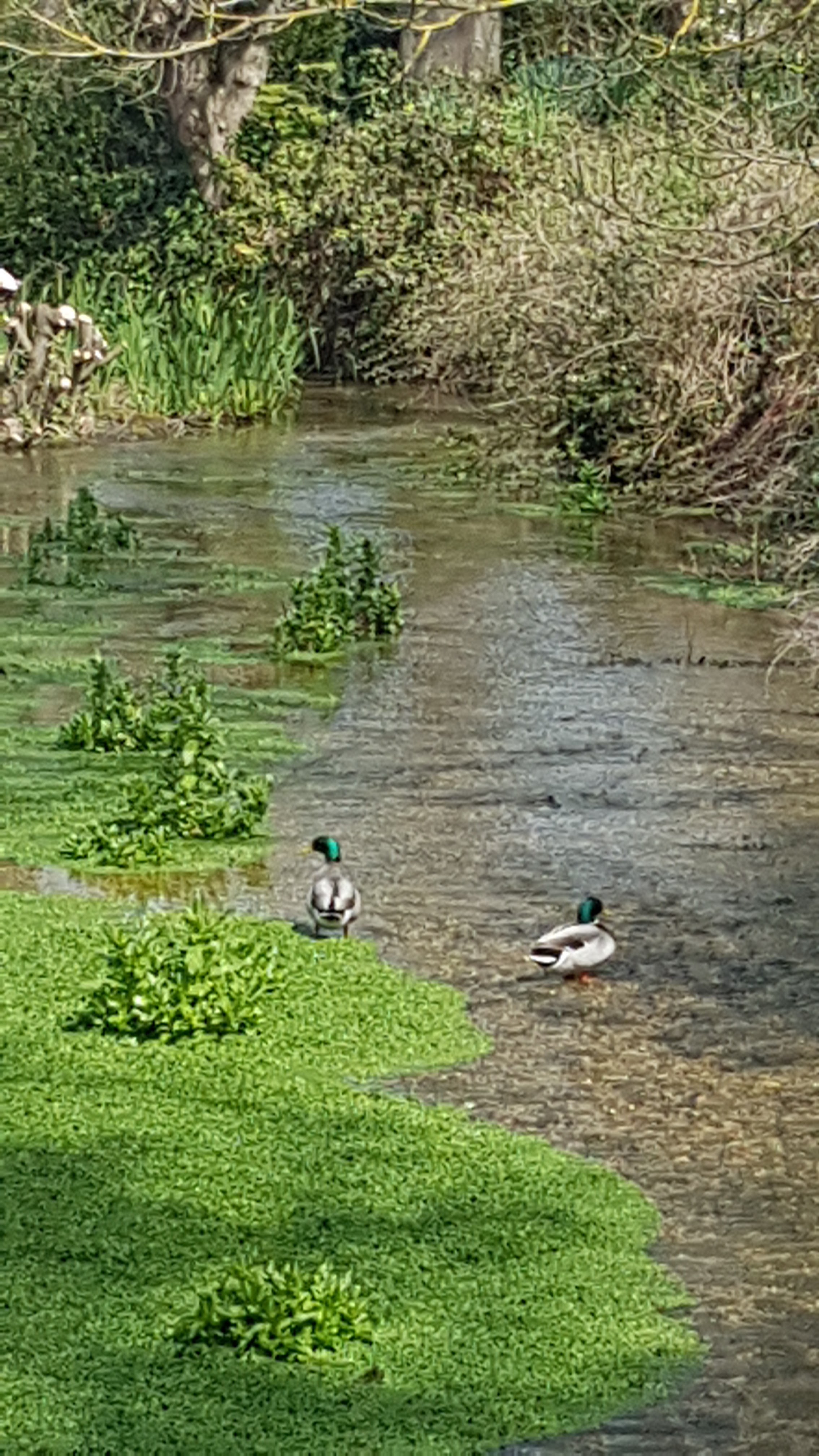 Photo n° 2 de l'avis de Marie.a fait le 01/05/2022 à 19:13