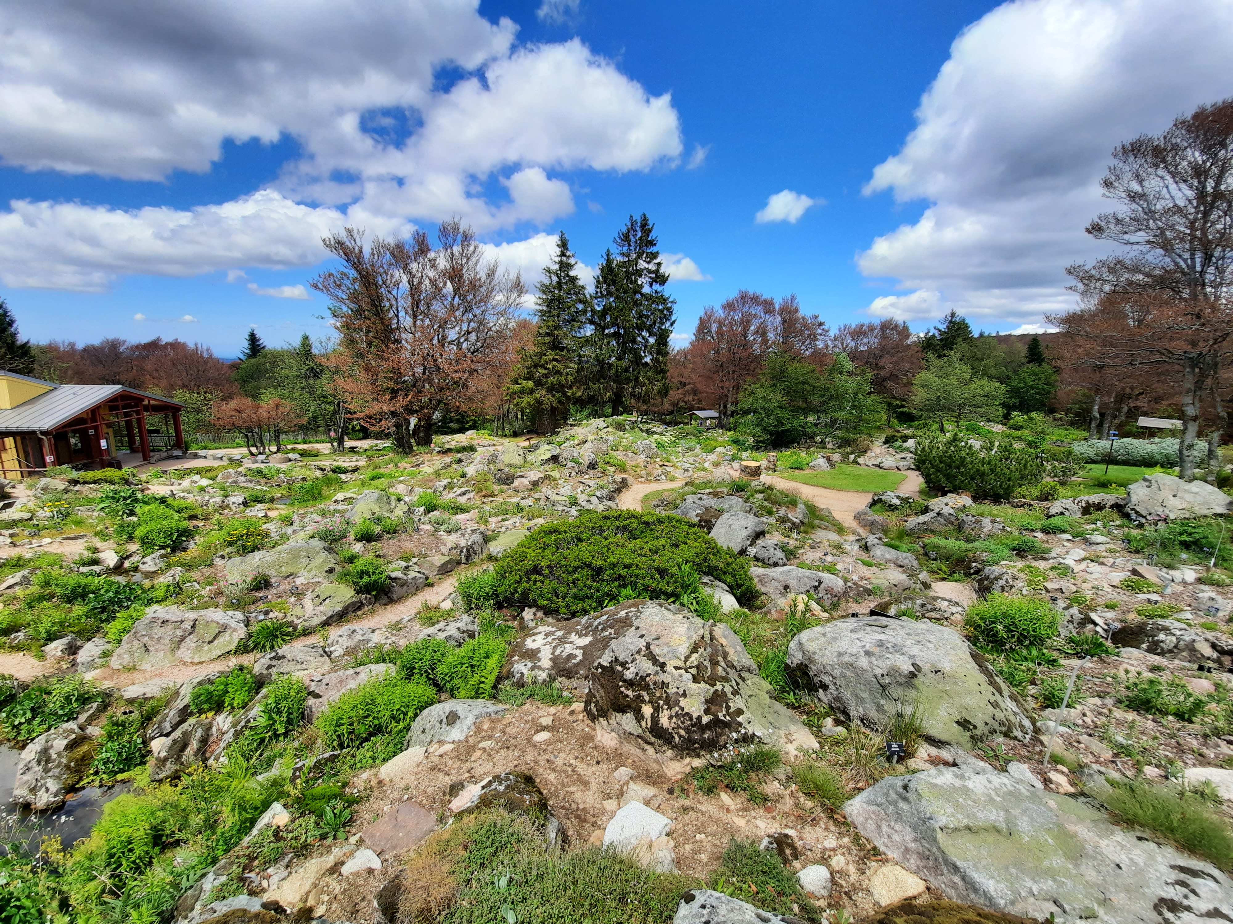 Photo n° 36 de l'avis de Victoria.e fait le 22/06/2020 à 21:37