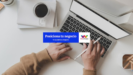 WebIndex Agencia Digital