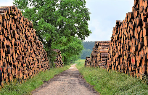 E.A.R.L BASCOU Pyrénées Orientales: Producteur de bois de chauffage - Vente / Livraison de bois | 66 à Toulouges
