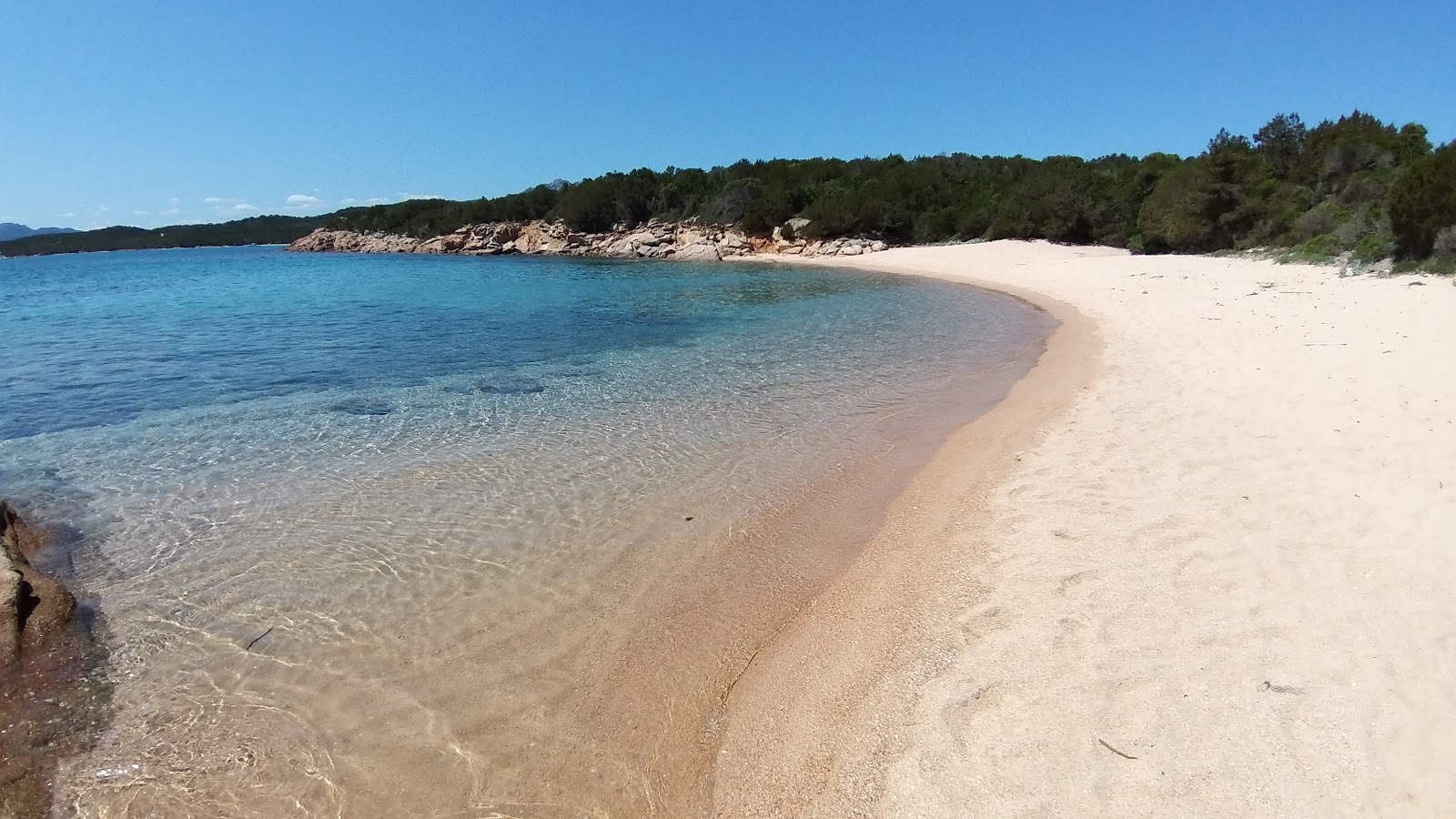 Fotografija Plaža Piccola Lisciaruja z svetel pesek površino
