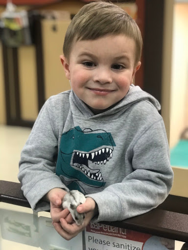 Pet Store «Petland», reviews and photos, 920 Hebron Rd, Heath, OH 43056, USA