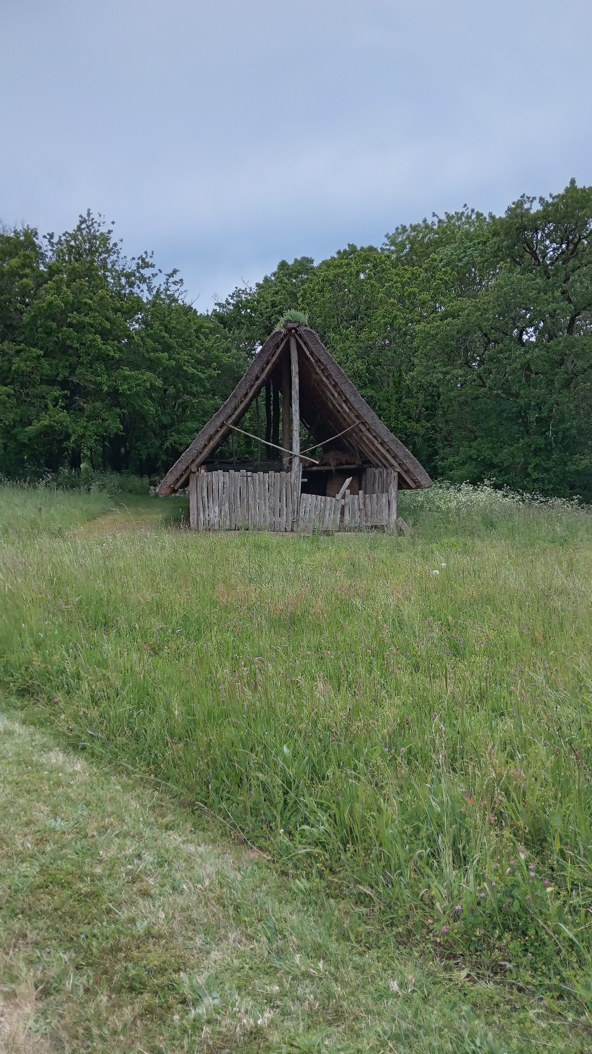 Photo n° 2 de l'avis de Mathirus.d fait le 20/05/2023 à 21:12