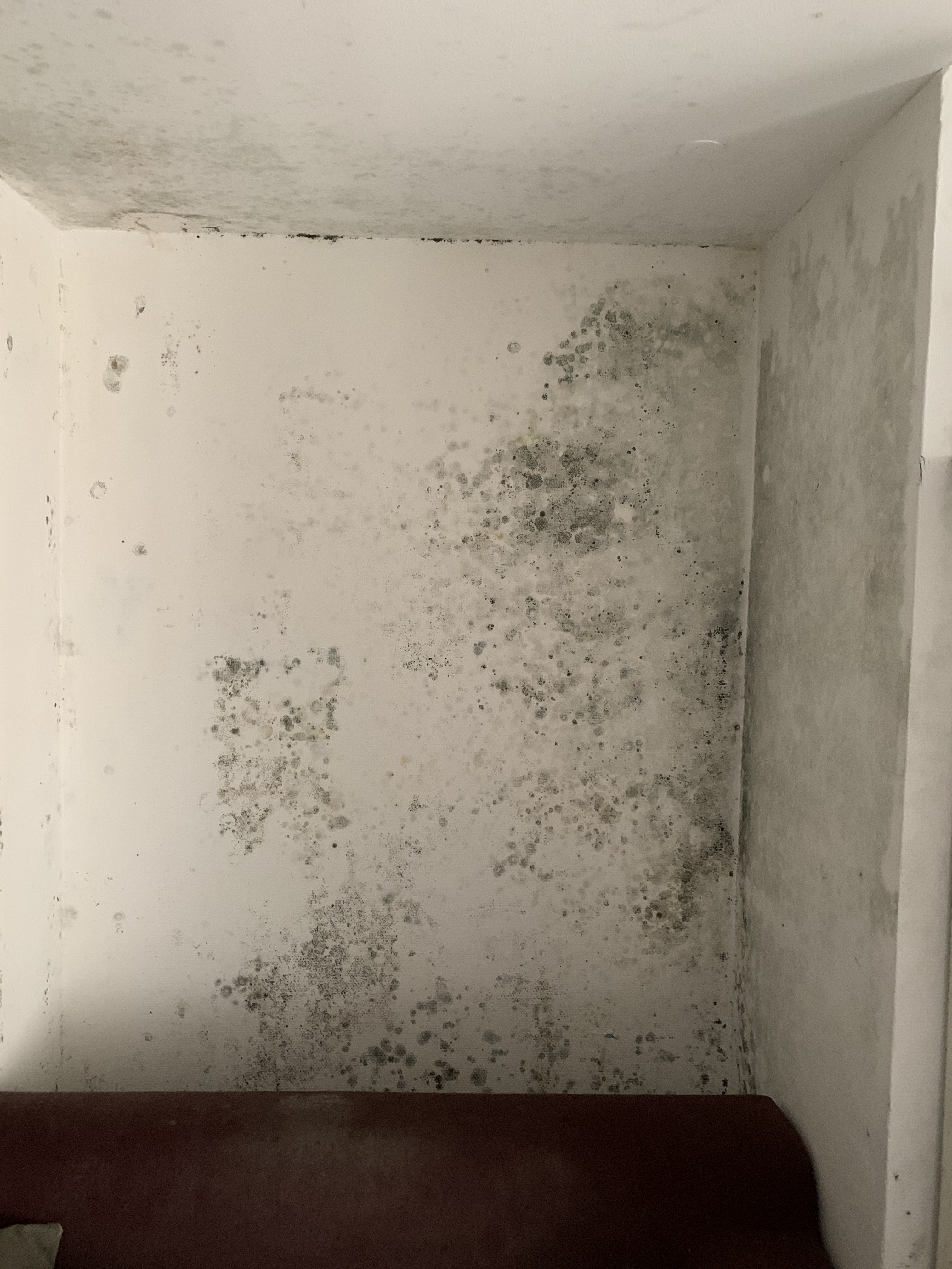 Photo n° 1 de l'avis de Martin. fait le 04/10/2022 à 00:46