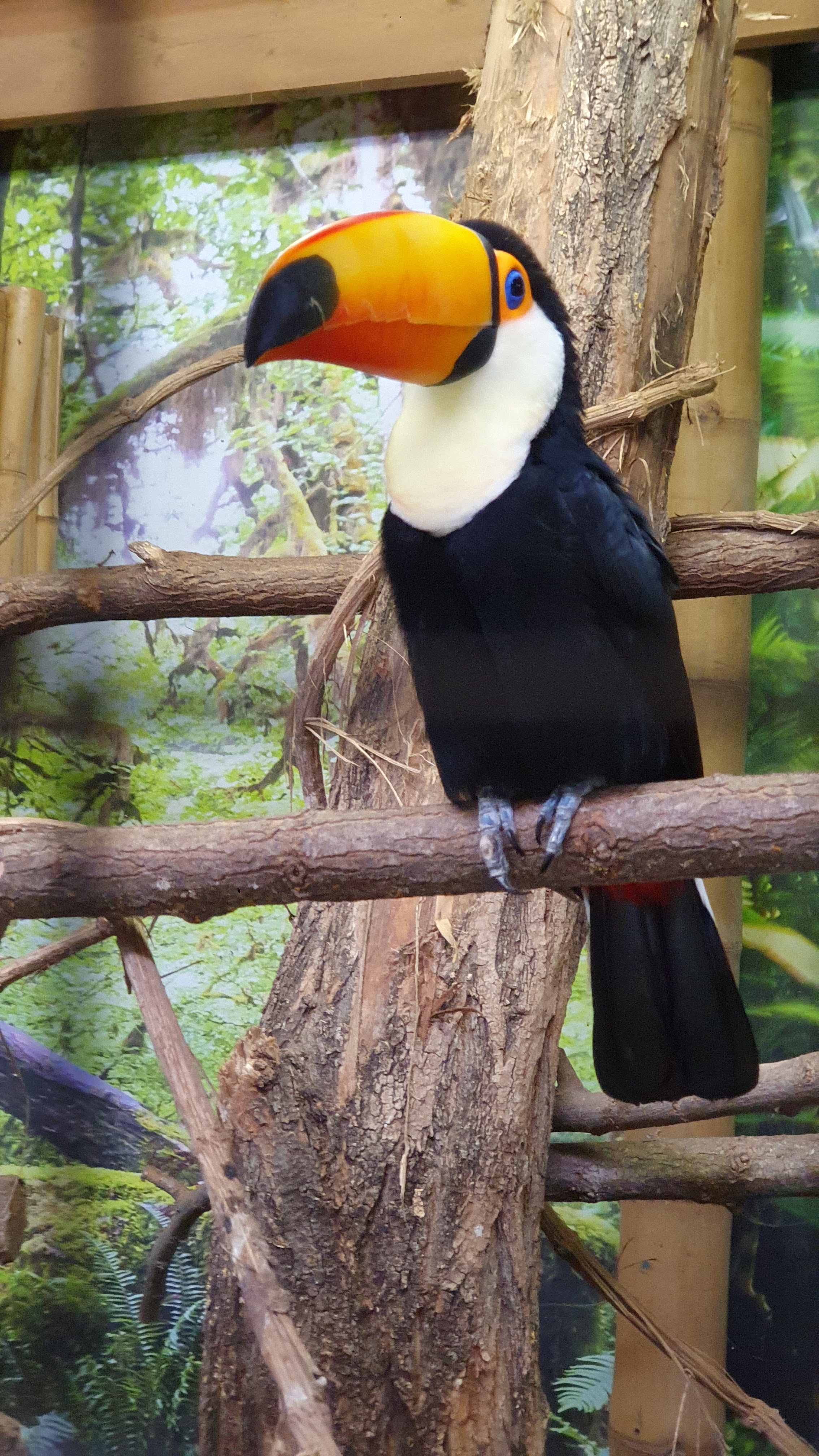 Photo n° 2 de l'avis de Jeremy.i fait le 14/08/2023 à 19:48