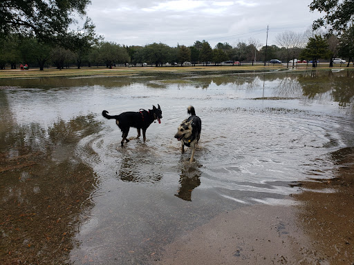 Congressman Bill Archer Dog Park