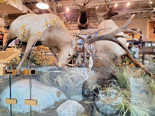 Sporting Goods Store «SCHEELS», reviews and photos, 1200 Scheels Drive, Sparks, NV 89434, USA
