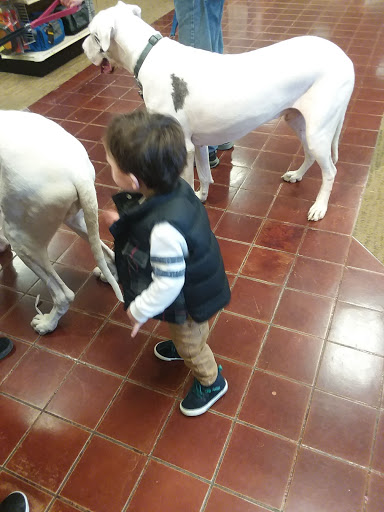 Shopping Mall «Cincinnati Mall», reviews and photos, 600 Cincinnati Mills Dr, Cincinnati, OH 45240, USA