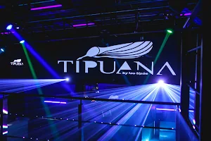 Tipuana Disco image