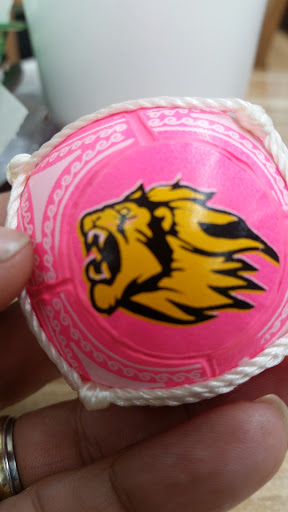 Flea Market «Fox Valley Flea Market», reviews and photos, 840 N State St, Elgin, IL 60123, USA