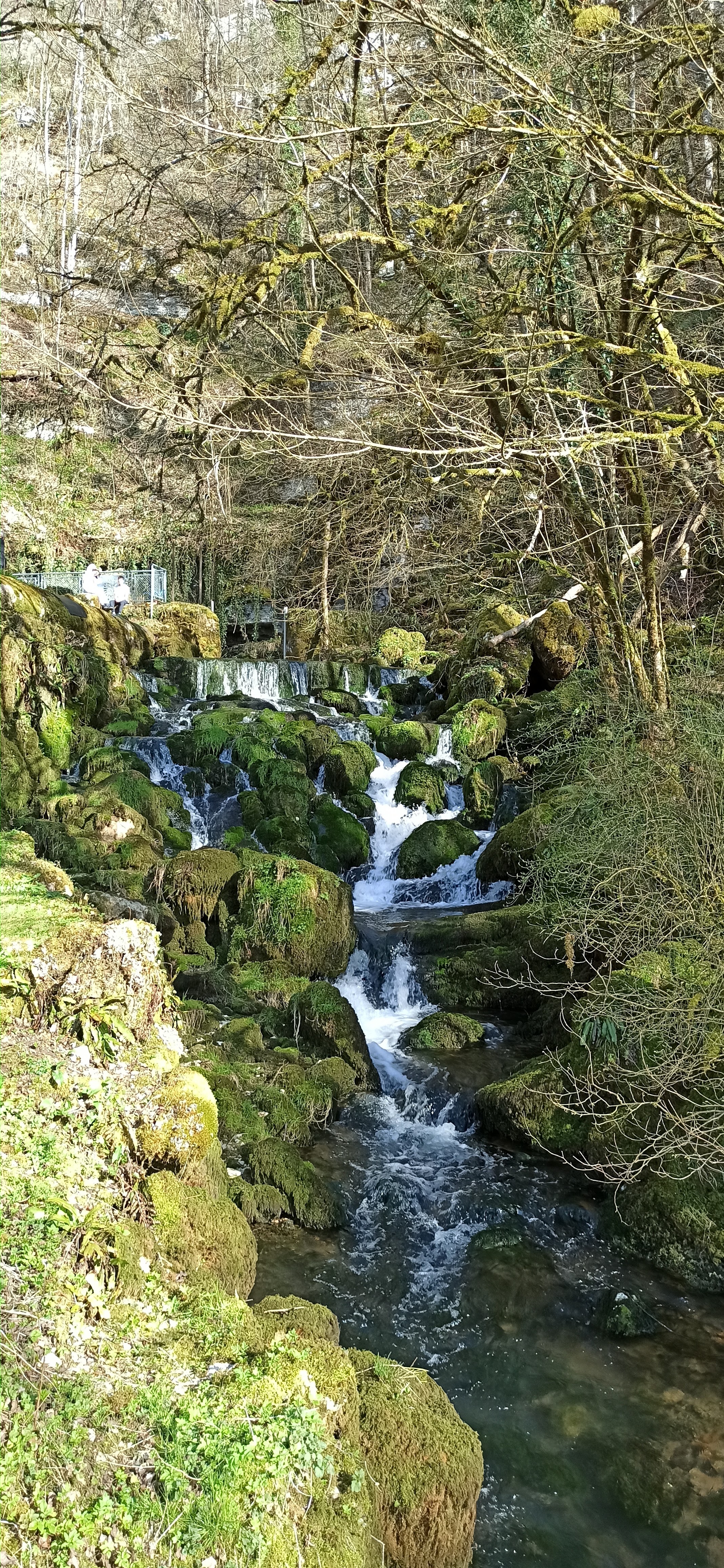 Photo n° 1 de l'avis de Auré.i fait le 07/04/2021 à 14:08