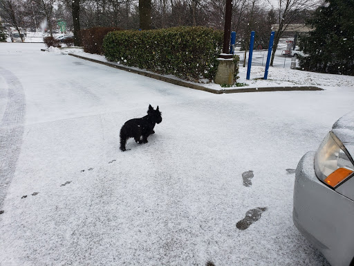 Car Detailing Service «Ridgeville Carwash», reviews and photos, 106 E Ridgeville Blvd # C, Mt Airy, MD 21771, USA