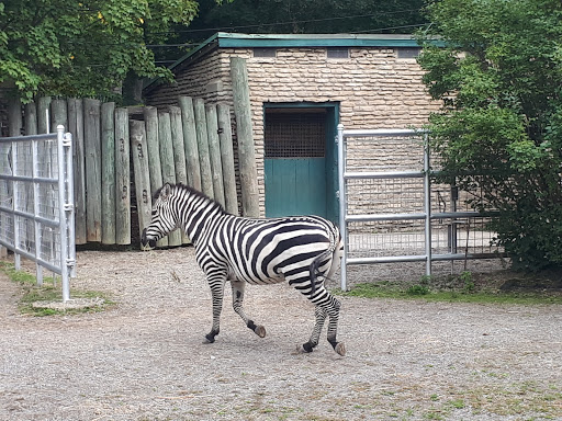 Park «Delaware Park», reviews and photos, Meadow Dr, Buffalo, NY 14214, USA