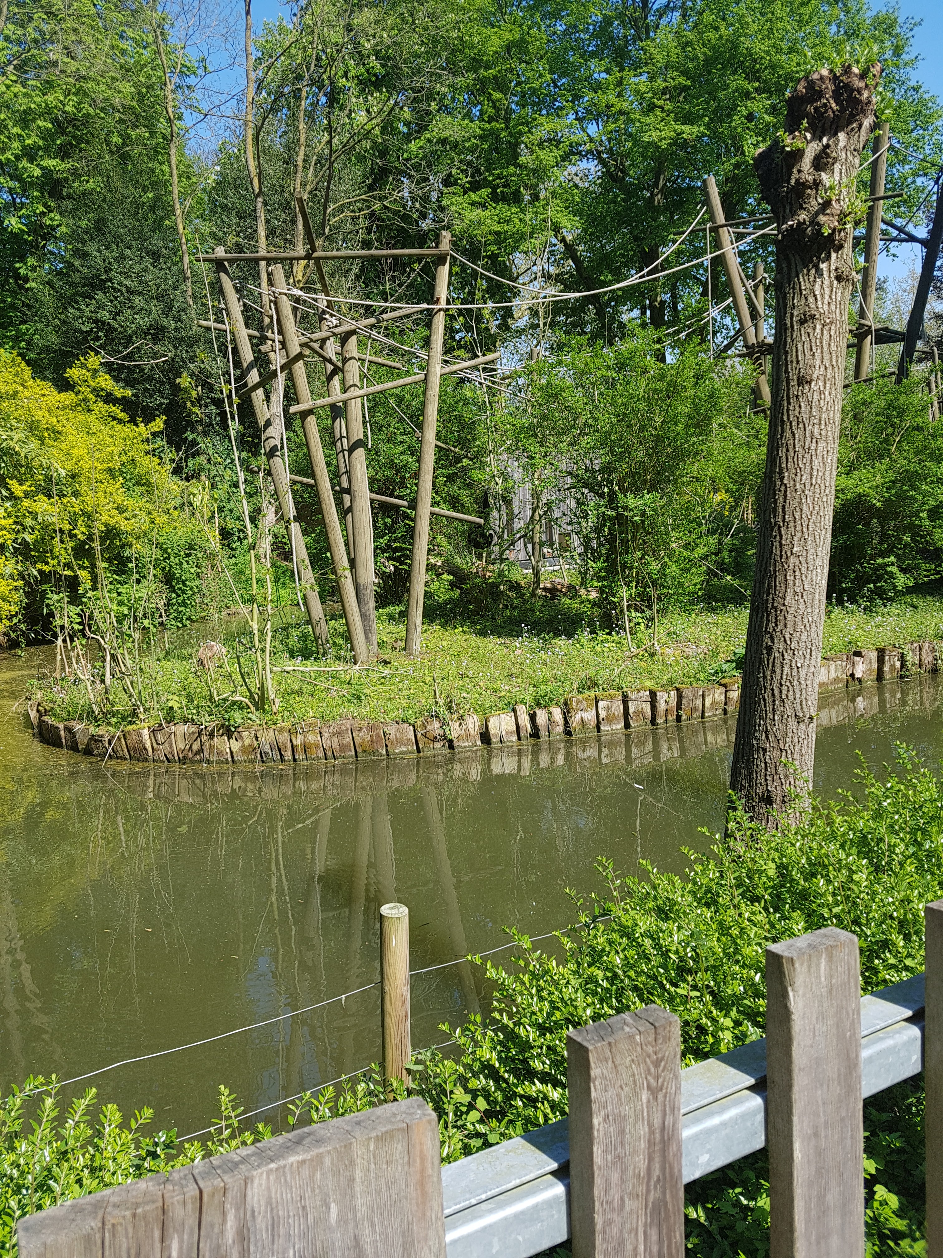 Photo n° 38 de l'avis de Celia.a fait le 30/04/2019 à 08:20