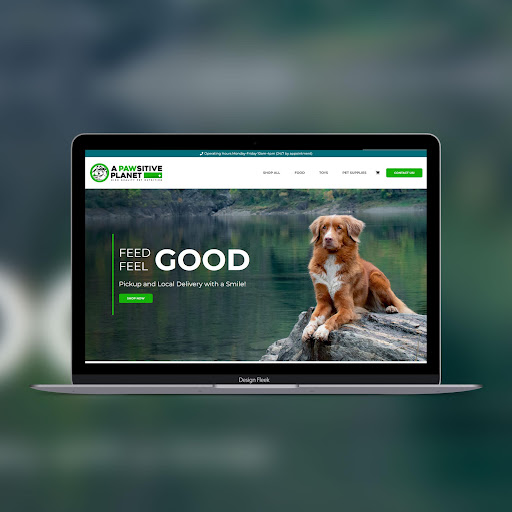 Design Fleek Web Design Agency image